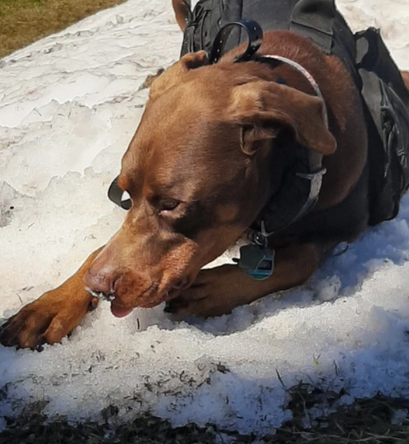 Taking a snack break